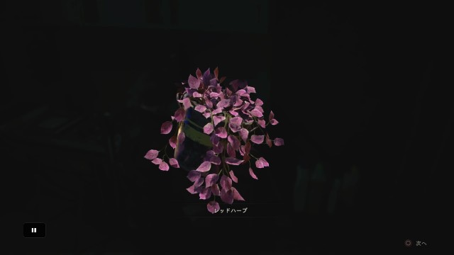 f:id:tako3110:20190112180024j:image