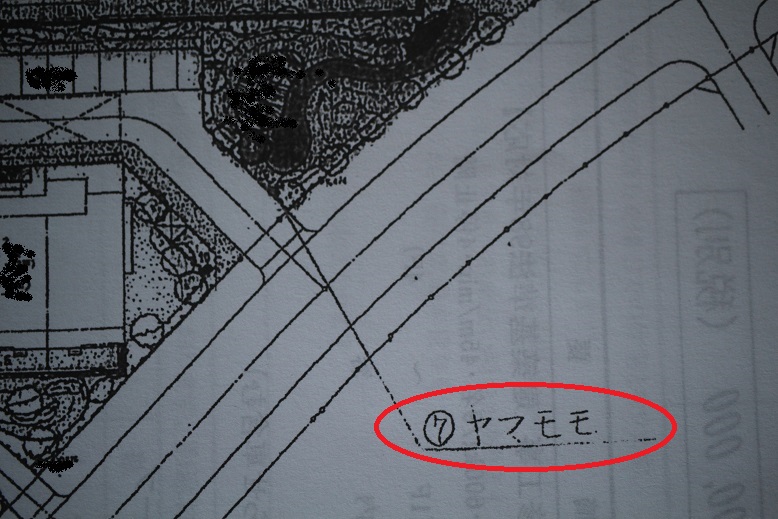 f:id:tako_chan:20210523205340j:plain