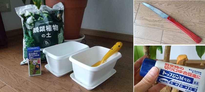 f:id:tako_chan:20211005221041j:plain