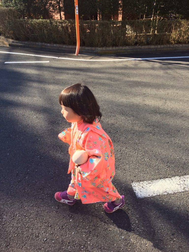 f:id:takohiroko65:20170127125007j:plain f:id:takohiroko65:20170127125007j:plain