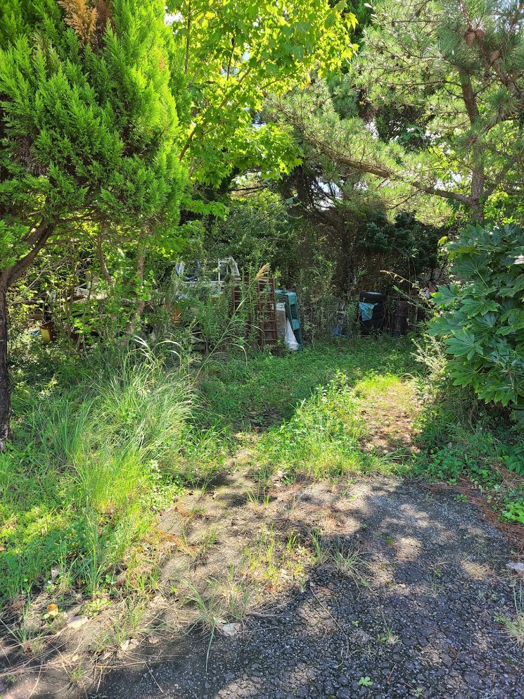 f:id:takomusume:20201004174119j:plain