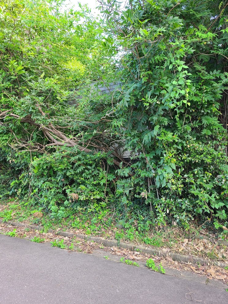 f:id:takomusume:20201004181417j:plain