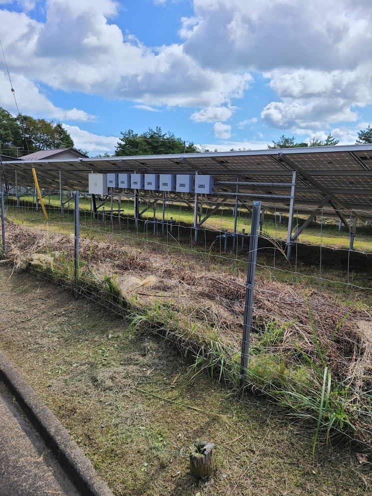 f:id:takomusume:20201006111051j:plain