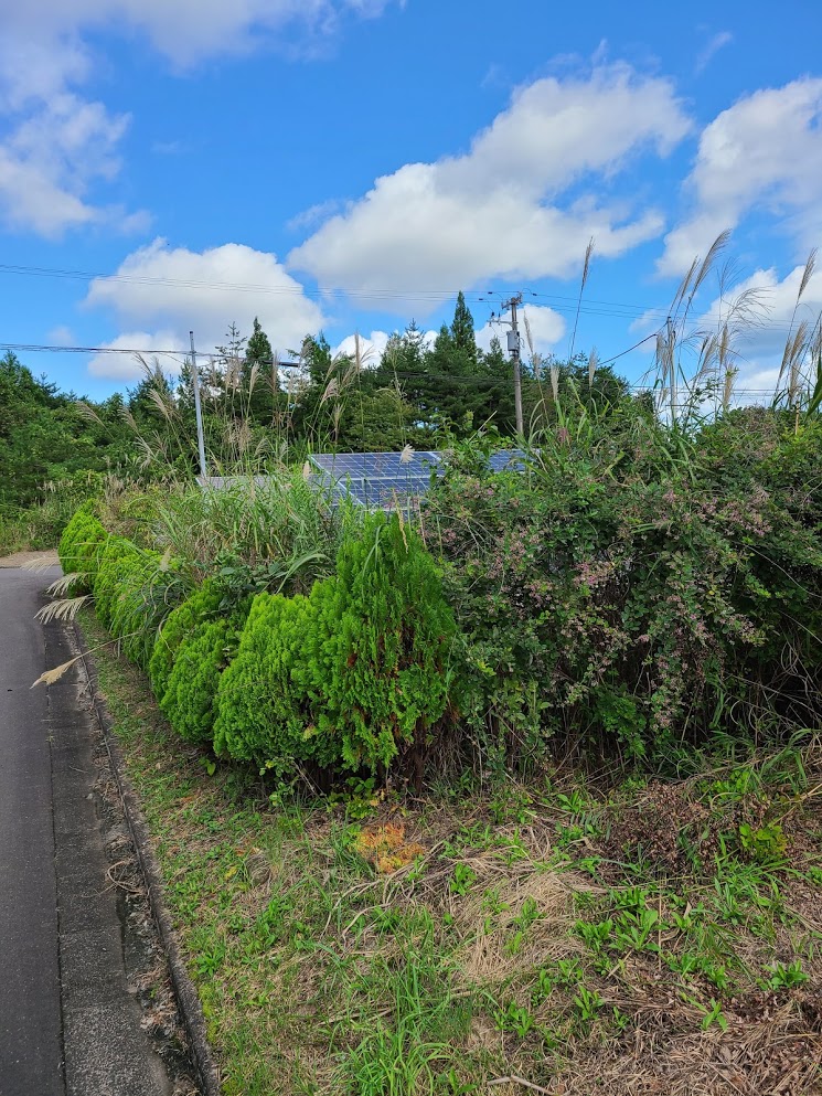 f:id:takomusume:20201006111138j:plain