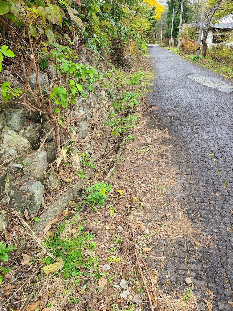 f:id:takomusume:20201231150423j:plain