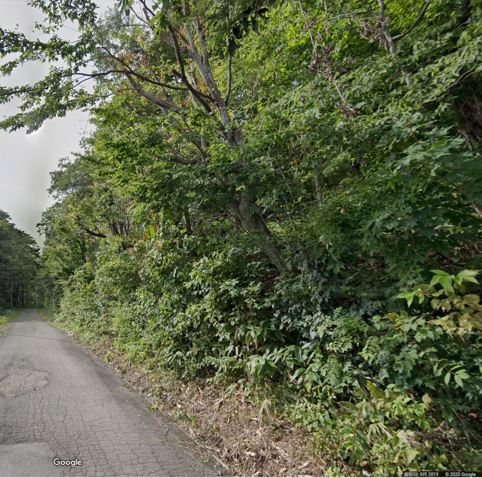 f:id:takomusume:20201231180235p:plain