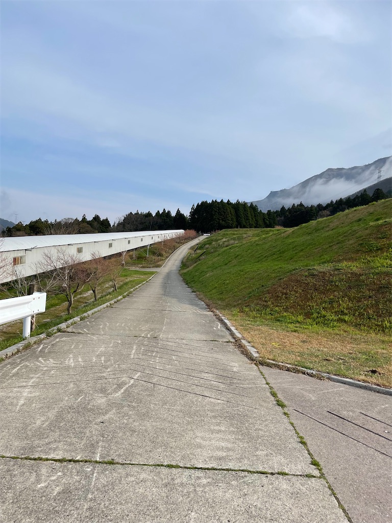 f:id:takonoaruki:20240619112821j:image f:id:takonoaruki:20240619112821j:image