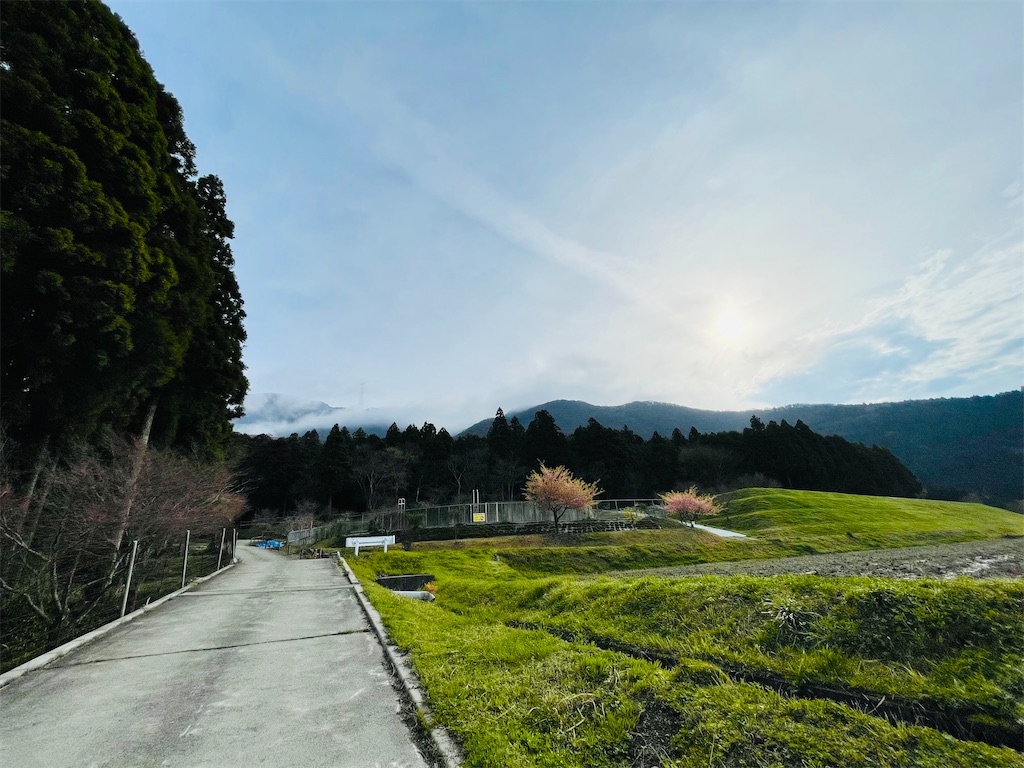 f:id:takonoaruki:20240619113156j:image f:id:takonoaruki:20240619113156j:image