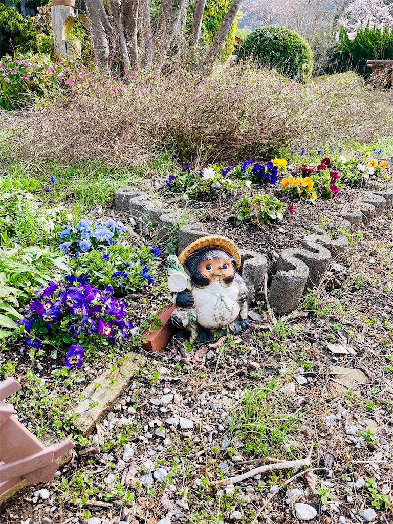 f:id:takonoaruki:20240619113751j:image f:id:takonoaruki:20240619113751j:image