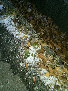 f:id:takopon8:20051203170141j:plain