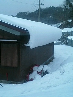 f:id:takopon8:20060103072002j:plain