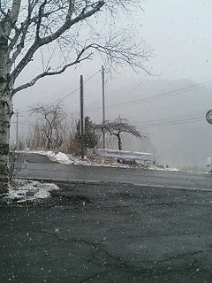 f:id:takopon8:20060303123152j:plain