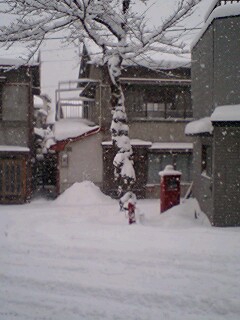 f:id:takopon8:20070107123022j:plain