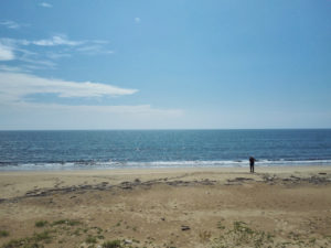 2016/08/20の海