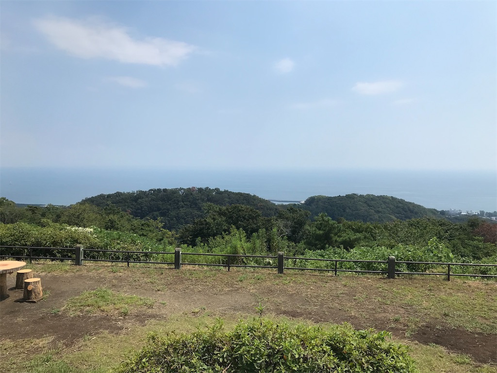 f:id:takosevens:20200815090246j:image