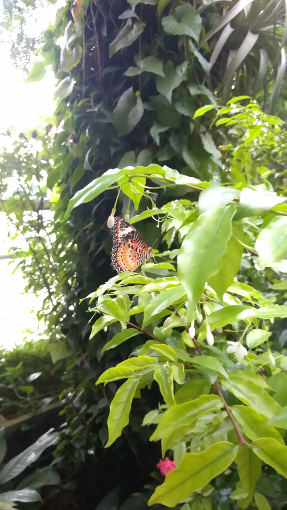 f:id:takoyakiroom:20190104160906j:plain:w200 f:id:takoyakiroom:20190104160906j:plain:w200