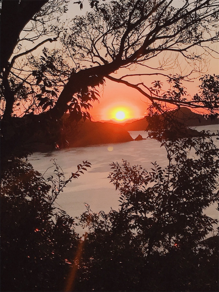 f:id:takoyu0526:20190112193337j:image