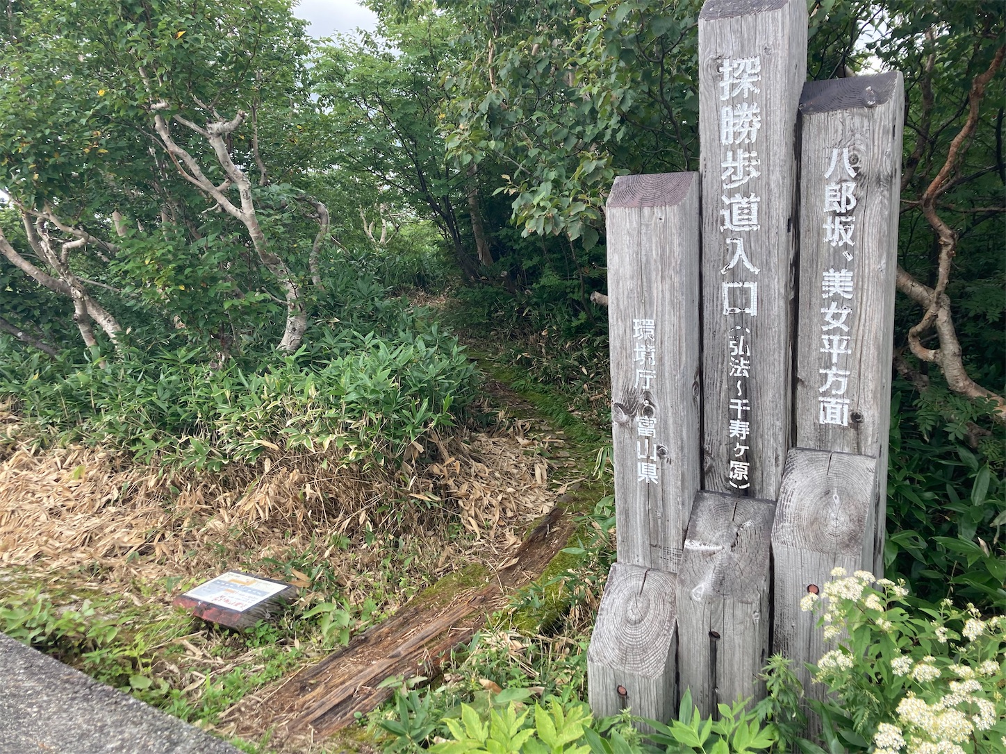 f:id:taksi03833090:20221012122616j:image