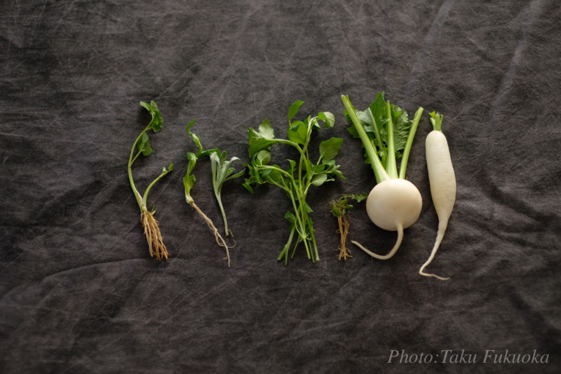 f:id:taku-F6A:20180107082101j:image f:id:taku-F6A:20180107082101j:image