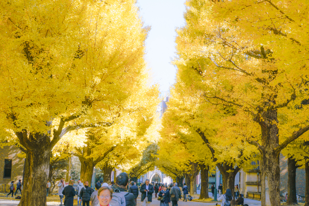 f:id:taku00:20180509223807j:plain f:id:taku00:20180509223807j:plain