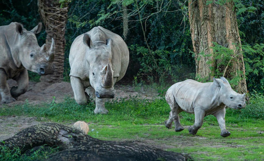 f:id:takublo:20220118173237j:plain