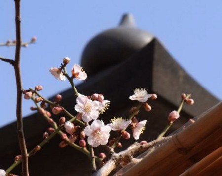 f:id:takuboku_no_iki:20110304194746j:image f:id:takuboku_no_iki:20110304194746j:image