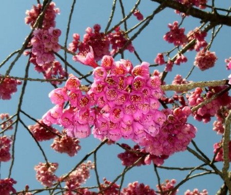 f:id:takuboku_no_iki:20110329172126j:image f:id:takuboku_no_iki:20110329172126j:image