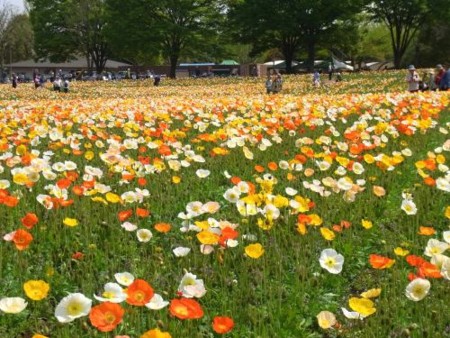 f:id:takuboku_no_iki:20110510050944j:image f:id:takuboku_no_iki:20110510050944j:image