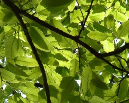 f:id:takuboku_no_iki:20110528194744j:image f:id:takuboku_no_iki:20110528194744j:image