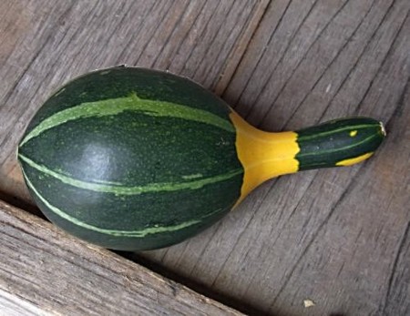 f:id:takuboku_no_iki:20110907173009j:image