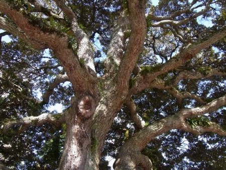 f:id:takuboku_no_iki:20120227165232j:image