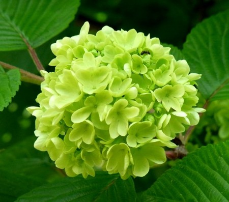 f:id:takuboku_no_iki:20140511171401j:image:w500 f:id:takuboku_no_iki:20140511171401j:image:w500