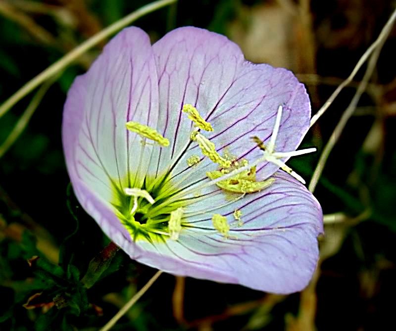 f:id:takuboku_no_iki:20141114162150j:image:w640 f:id:takuboku_no_iki:20141114162150j:image:w640