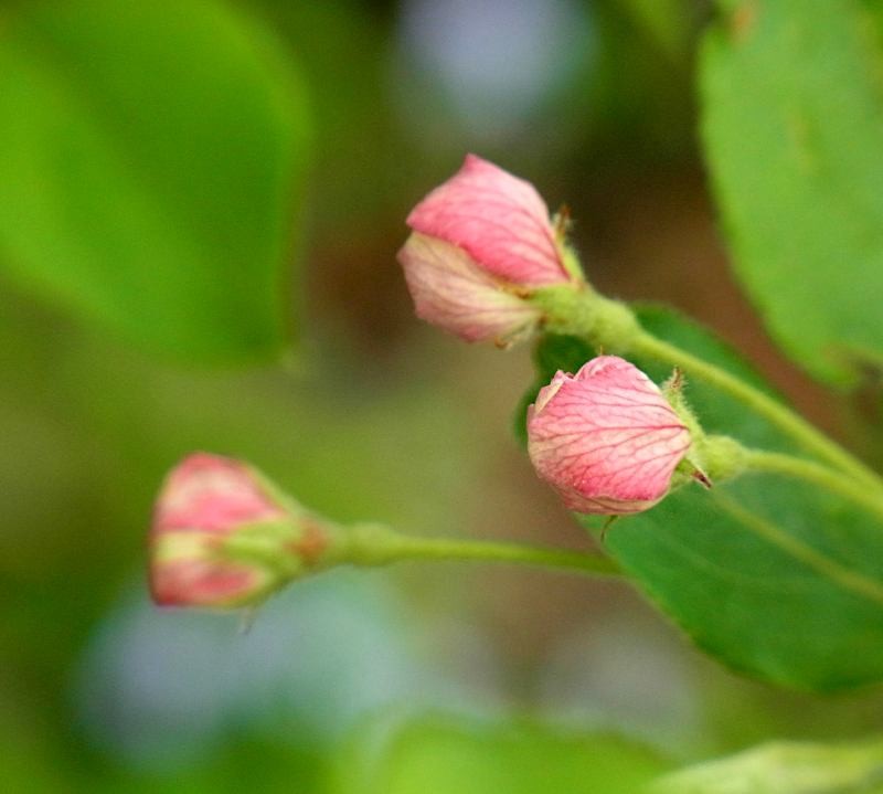 f:id:takuboku_no_iki:20150520172005j:image:w640 f:id:takuboku_no_iki:20150520172005j:image:w640