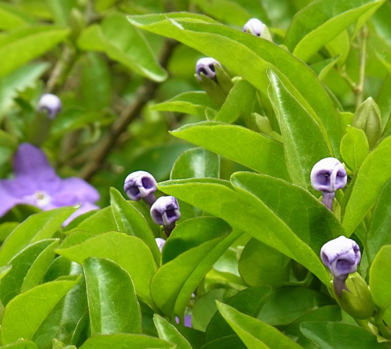 f:id:takuboku_no_iki:20150525165509j:image:w640 f:id:takuboku_no_iki:20150525165509j:image:w640