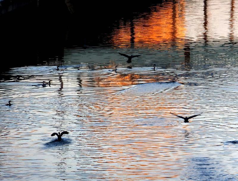 f:id:takuboku_no_iki:20160101061131j:image:w640