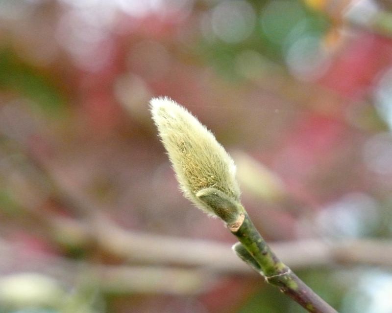 f:id:takuboku_no_iki:20160104192148j:image:w640