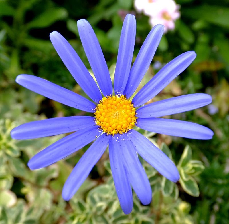 f:id:takuboku_no_iki:20160120160048j:image:w640 f:id:takuboku_no_iki:20160120160048j:image:w640