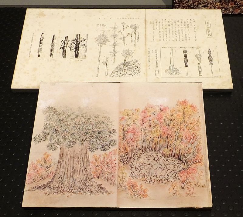 f:id:takuboku_no_iki:20161003160616j:image:w640