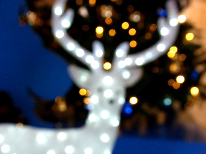 f:id:takuboku_no_iki:20171219161855j:image:w640