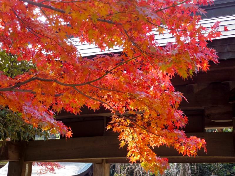 f:id:takuboku_no_iki:20191213142855j:plain