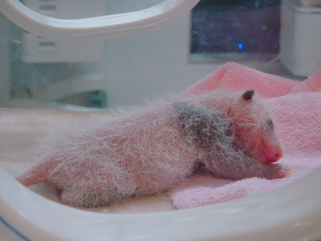 f:id:takubonji:20191113002522j:image f:id:takubonji:20191113002522j:image