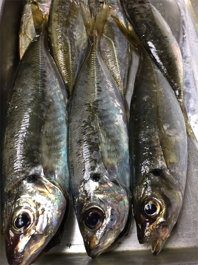 f:id:takudannax:20190723222546j:image