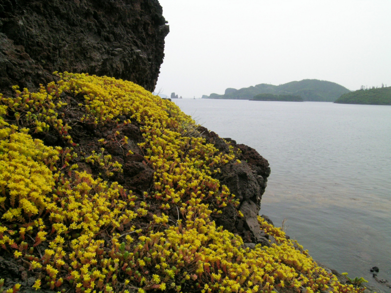 隠岐　西ノ島　宇賀２
