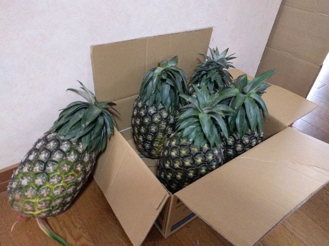 f:id:takuma0118:20170814001054j:image