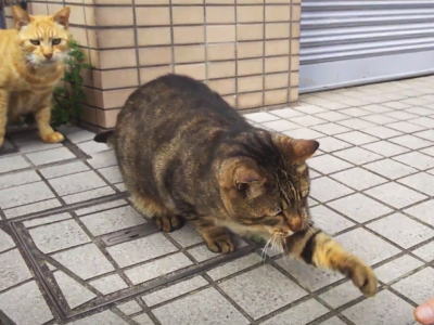 f:id:takuma1966:20211111225931j:plain