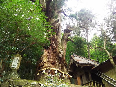 f:id:takuma1966:20220209232315j:plain