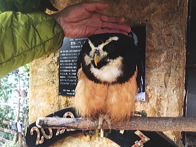 f:id:takuma1966:20220209232645j:plain