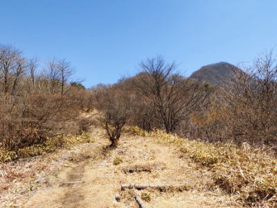 f:id:takuma1966:20220410192126j:plain