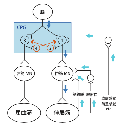 f:id:takumasa39:20150418010326p:plain